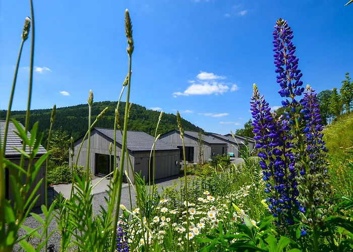 Sauerland Lodge - Haus Luise