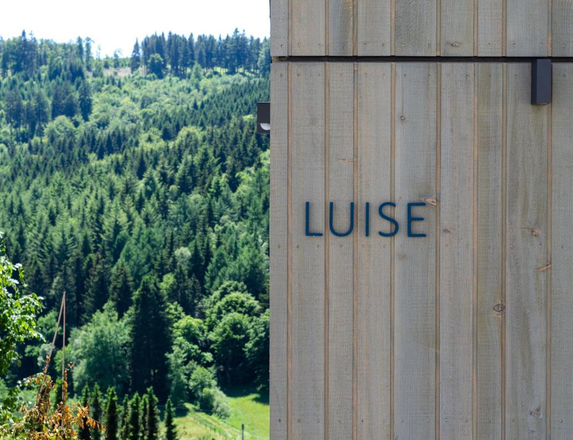 Sauerland - Haus Luise Ferienhaus Winterberg